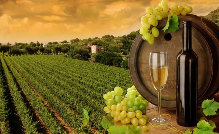 winery crete